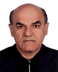 دکتر سید محمود معراجی
